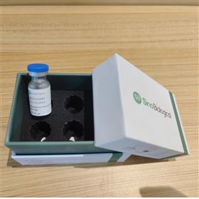 Recombinant Mouse CD200 Protein蛋白质